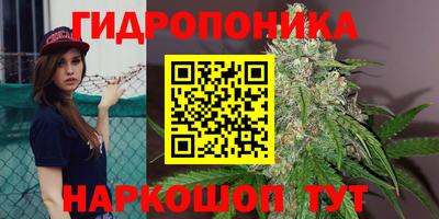 кристаллы Шелехов