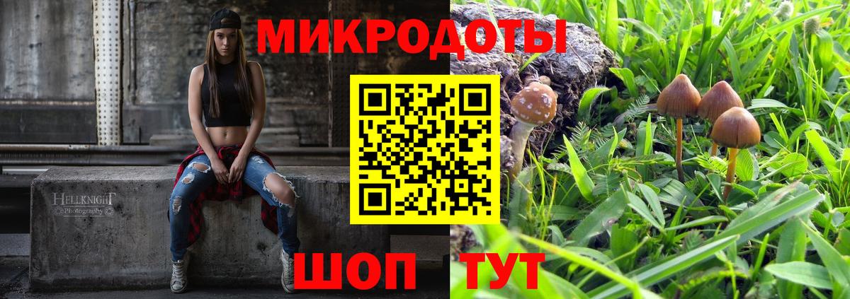 Галлюциногенные грибы Cubensis  Вход с VPN  Луховицы 